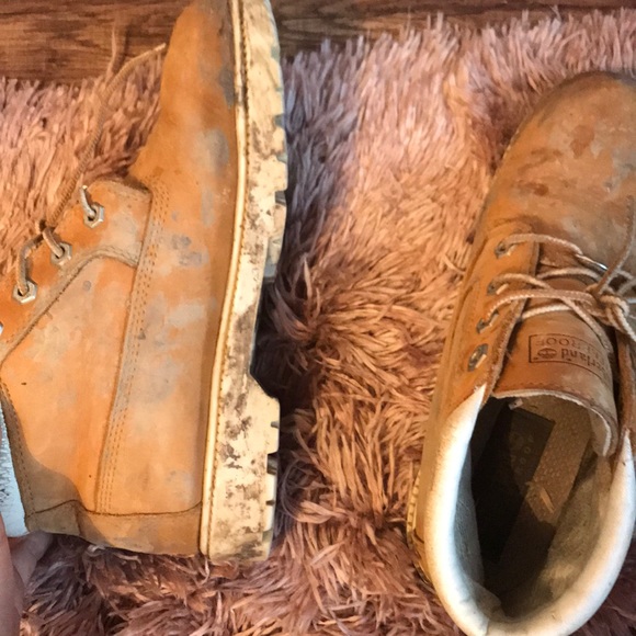 Timberlands - Picture 3 of 3